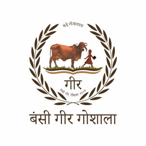 217807350_1459962691031575_546239903383210374_n