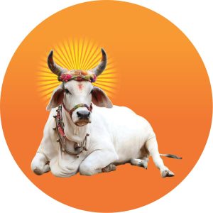 गौसेवा गतिविधि.jpg (1)